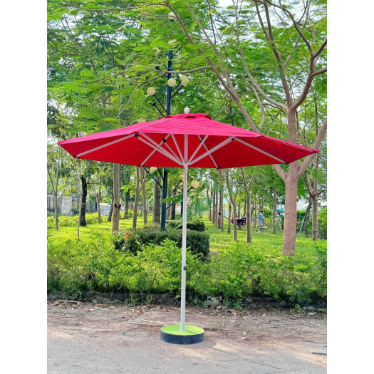 DÙ ĐÚNG TÂM TRÒN ĐỎ